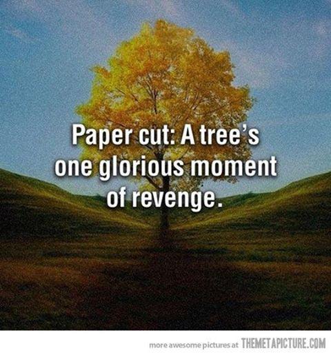 Semnale - 1002340606752709298234915722n.jpg